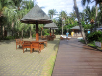 Caesar-Park-6528
