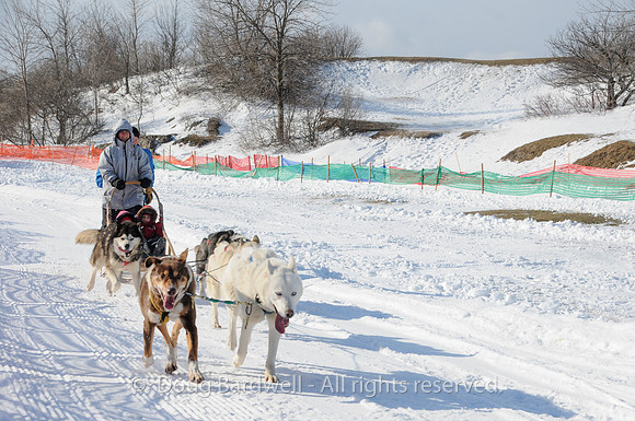 Quebec_Winter_Carnival-8315