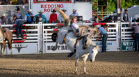 Redding Rodeo