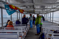 Cape Water Taxi-8690
