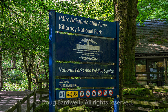 Ireland-5576