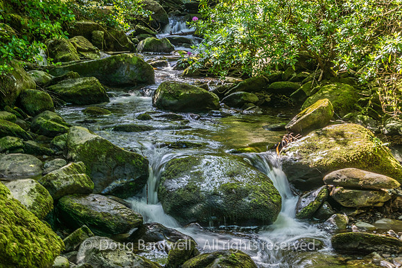 Ireland-5587