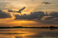 Florida