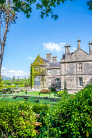 Ireland-5542