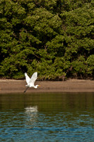 100920_3CS0727