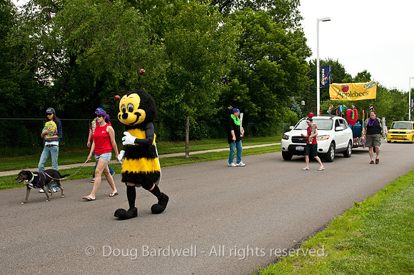 100619_3CS5255