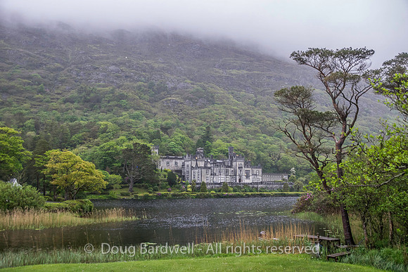 WildAtlanticWay-2644