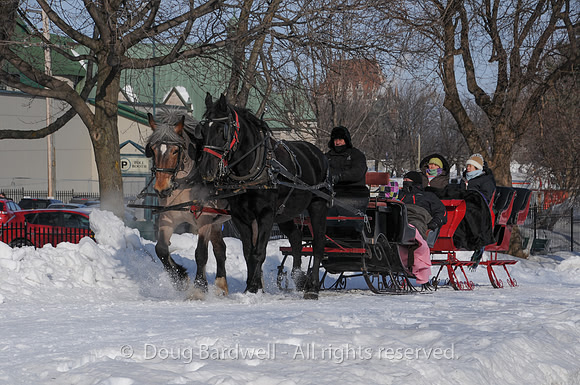 Quebec_Winter_Carnival-8257