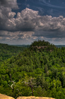 NaturalBridge-103