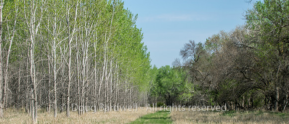 150503-5209