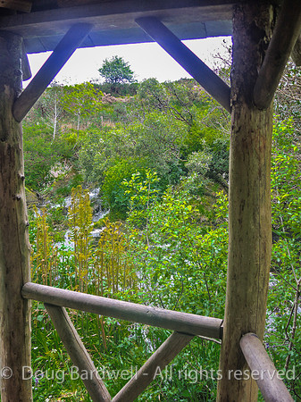 Waterfall_Farm-8907