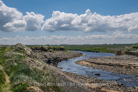 Ireland-4426